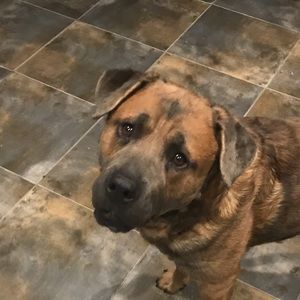 Meet your Posher, Danny